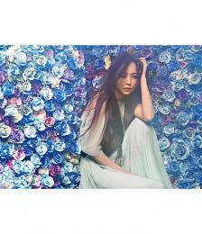 安室奈美惠 台北演唱會 2018 門票價錢座位圖及售票日期